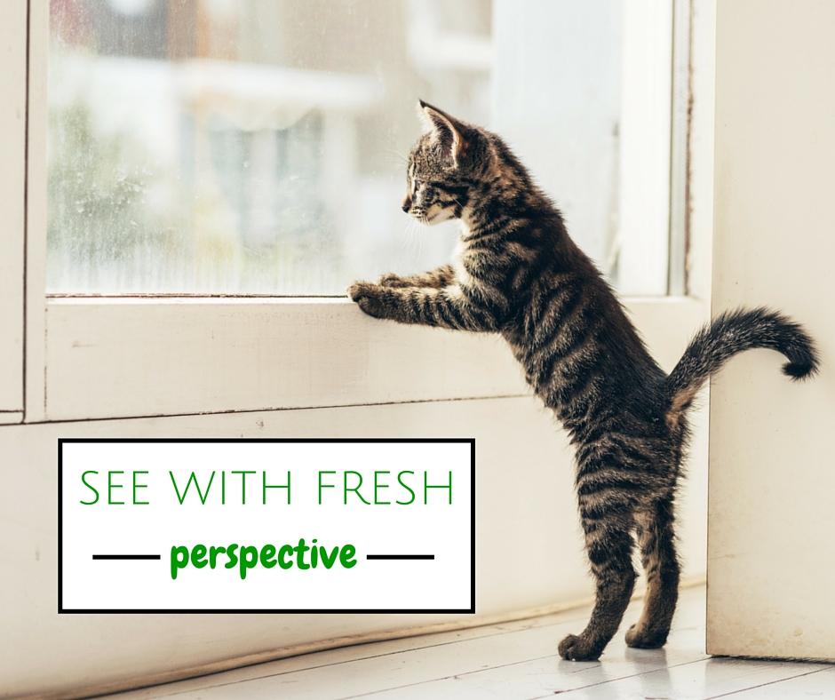 fresh-perspective