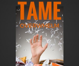 tame-overwhelm