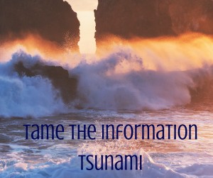 Tame the information tsunami