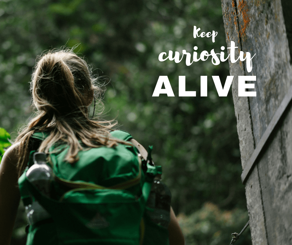 keep curiosity alive