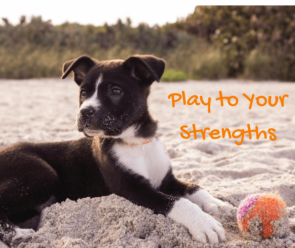 Play to your Strengths