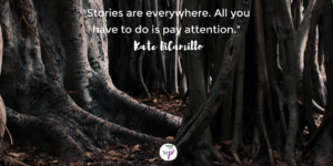 "Stories are everywhere, all you have to do is pay attention." Kate DiCamillo